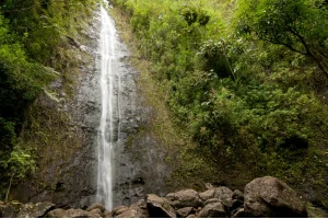 Manoa Falls