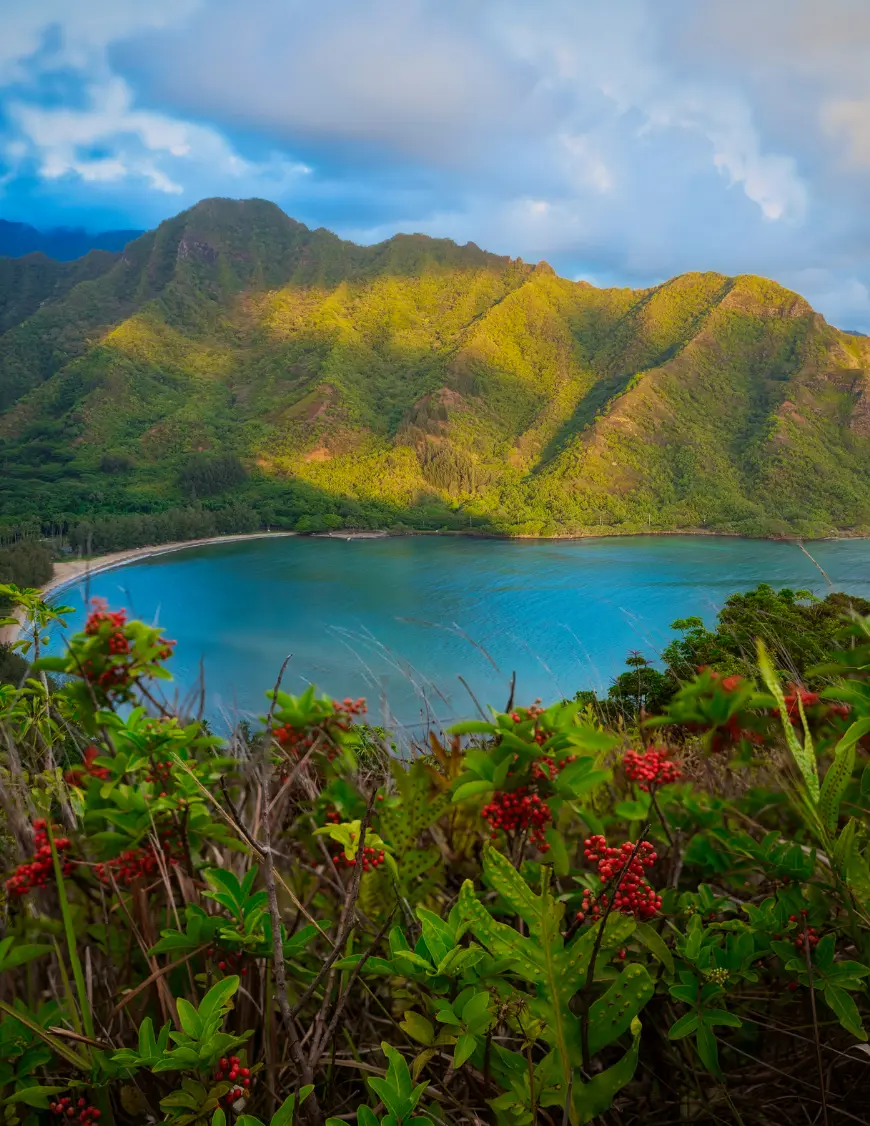 Mountains in Oahu
