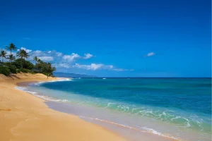 Beach at Haleiwa
