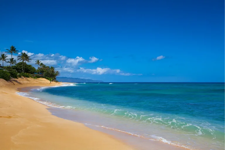 Beach at Haleiwa