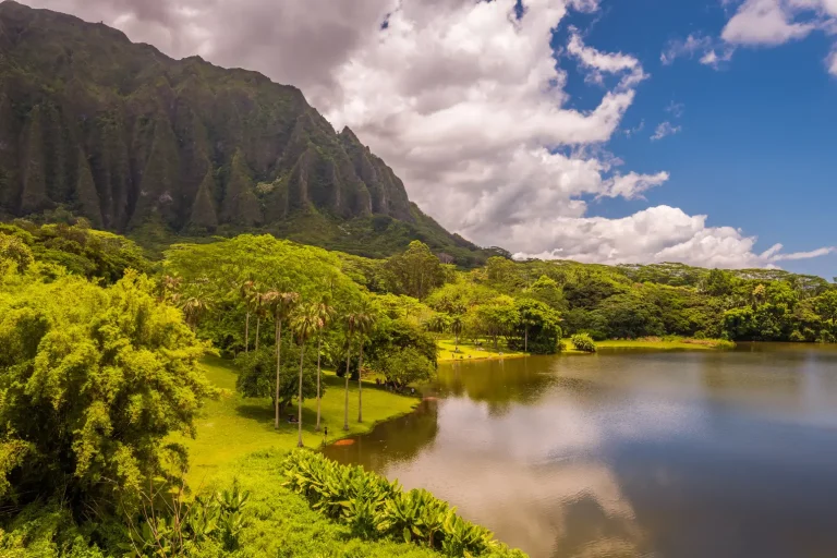 Fishpond at Ho’omaluhia Botanical Garden