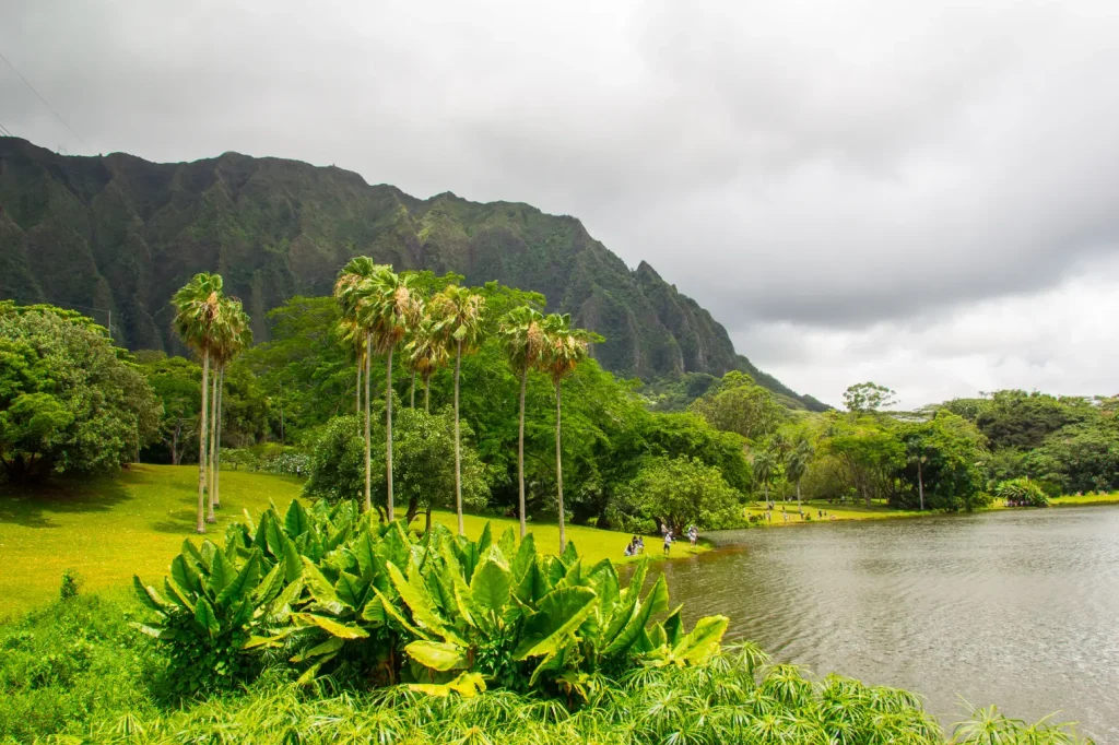 Ho’omaluhia Botanical Garden Guide: Scenic Drives and Trail Picks
