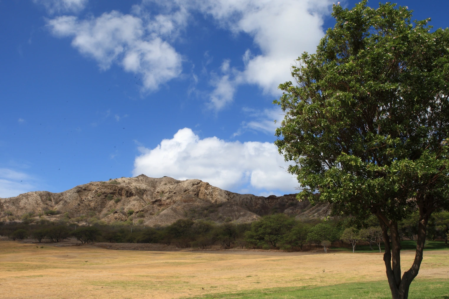 Inside the Diamond Head