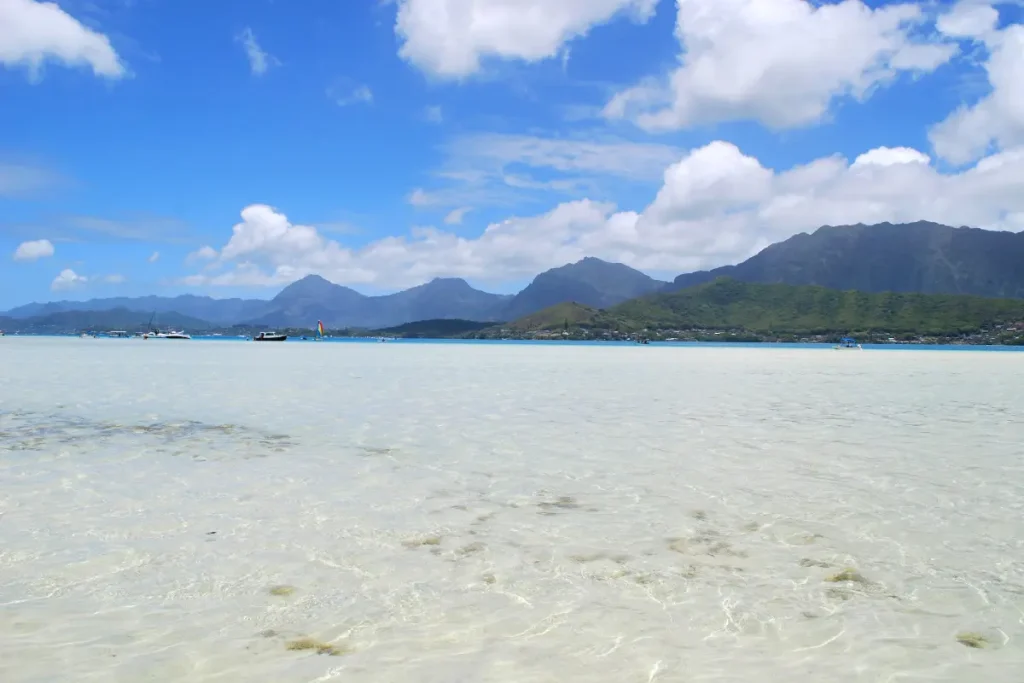 Kaneohe Sandbar Tour: Snorkel, Kayak, and What the Water’s Like