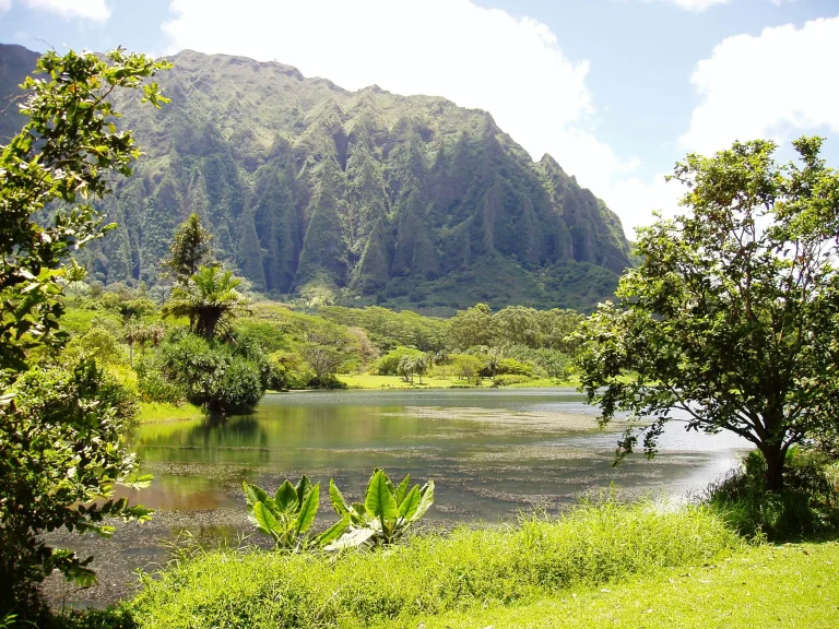 Lake View at Ho'omaluhia Botanical Garden