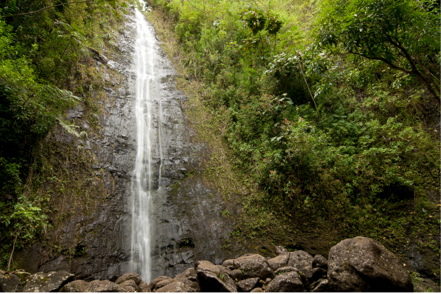 Manoa Falls