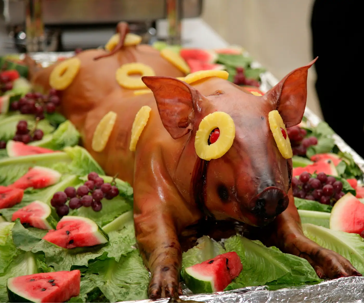 Pig Cooked for a Luau
