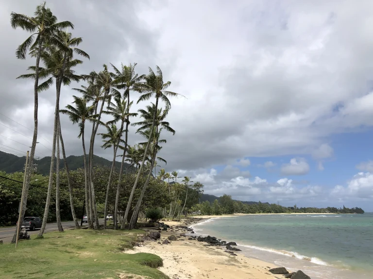 Punalu'u Beach Park in Punaluu, Oahu