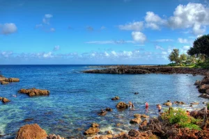 Snorkelers at Shark's Cove