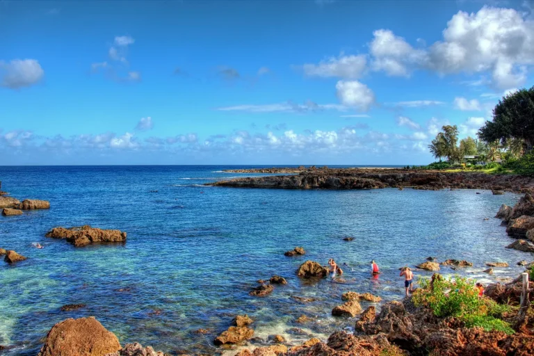 Snorkelers at Shark's Cove