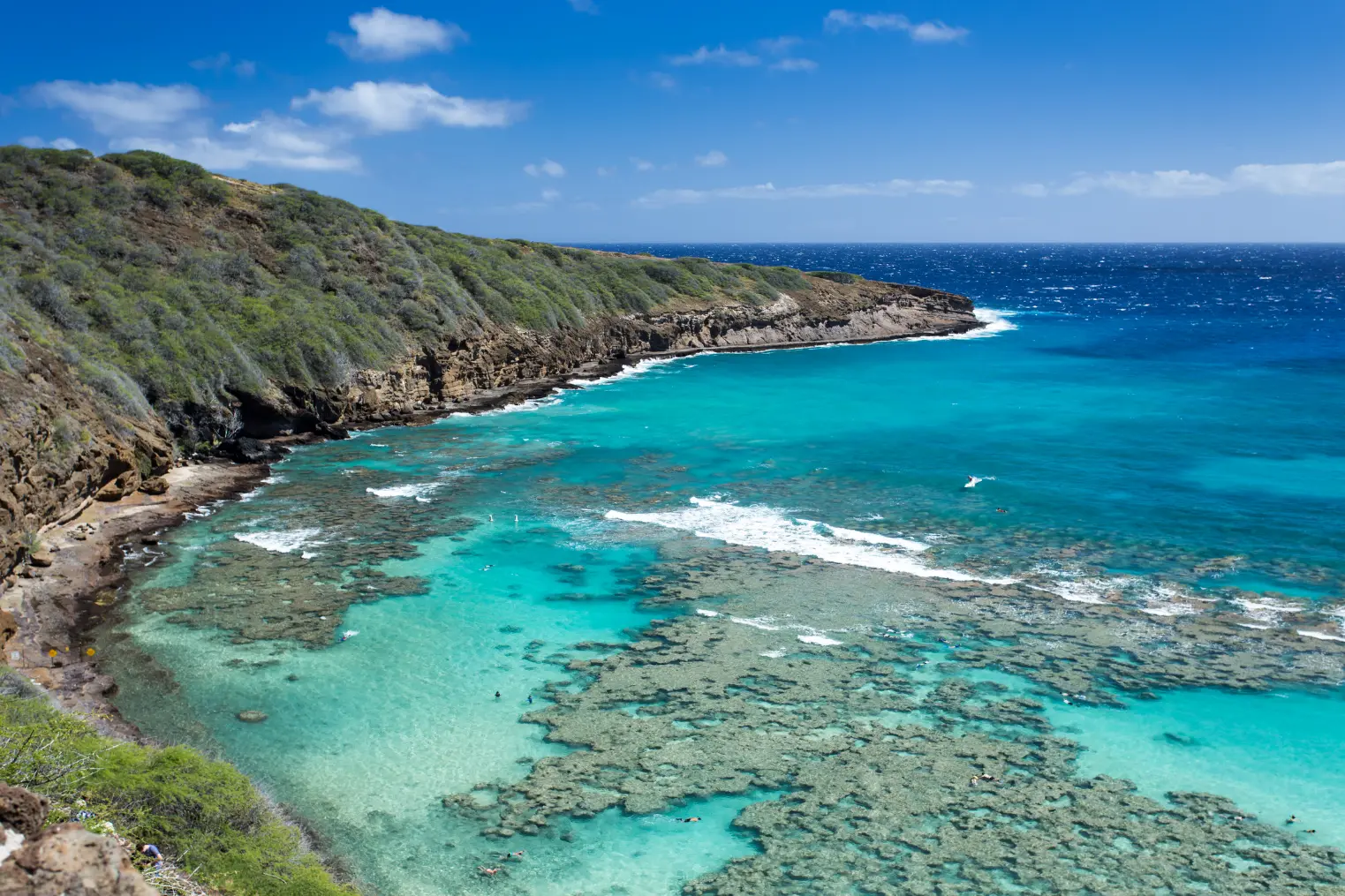 Snorkeling at Hanauma Bay