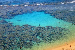 Snorkeling at Hanauma Bay