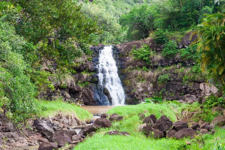 View of Waimea Falls