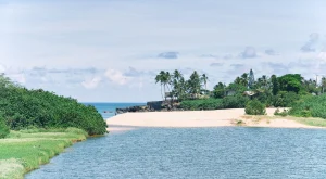 Waimea Bay Calm Waters