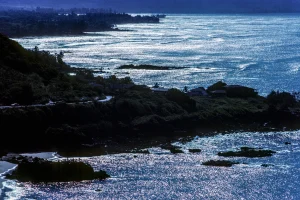 Waimea Bay Shore