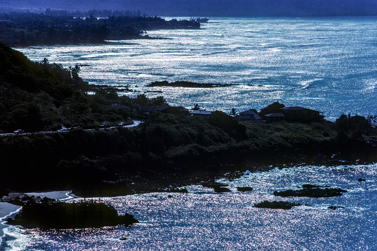Waimea Bay Shore