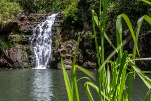 Waimea Falls