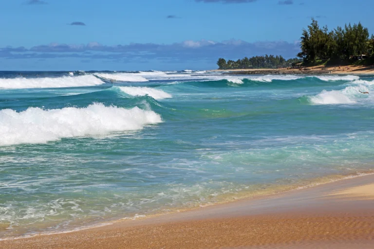 Waves at Waimea Bay