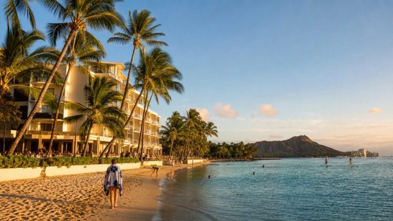 boutique beachfront hotel near surf