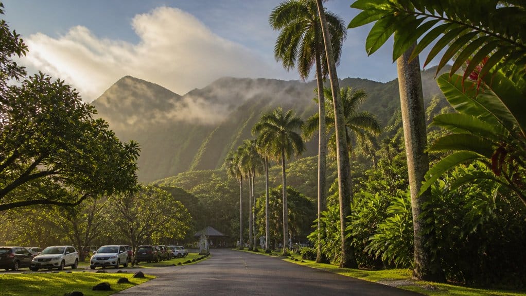 arrive early for peaceful views