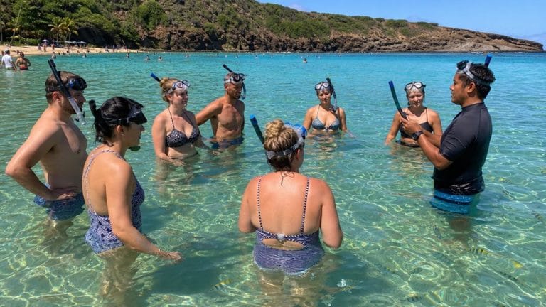 beginner friendly hanauma bay snorkel