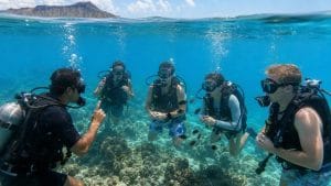 beginner friendly honolulu scuba tours