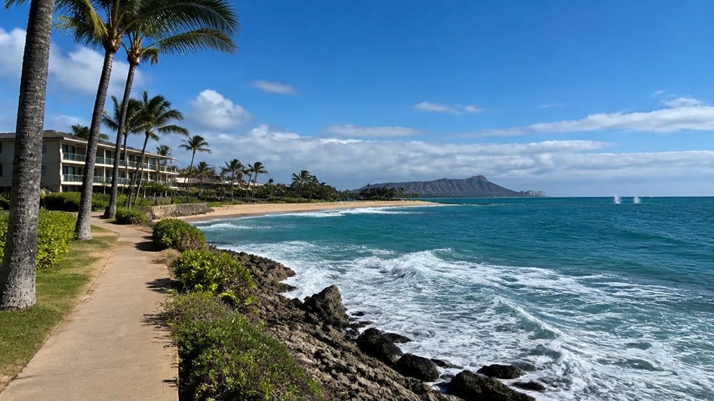 best whale watching base waikiki