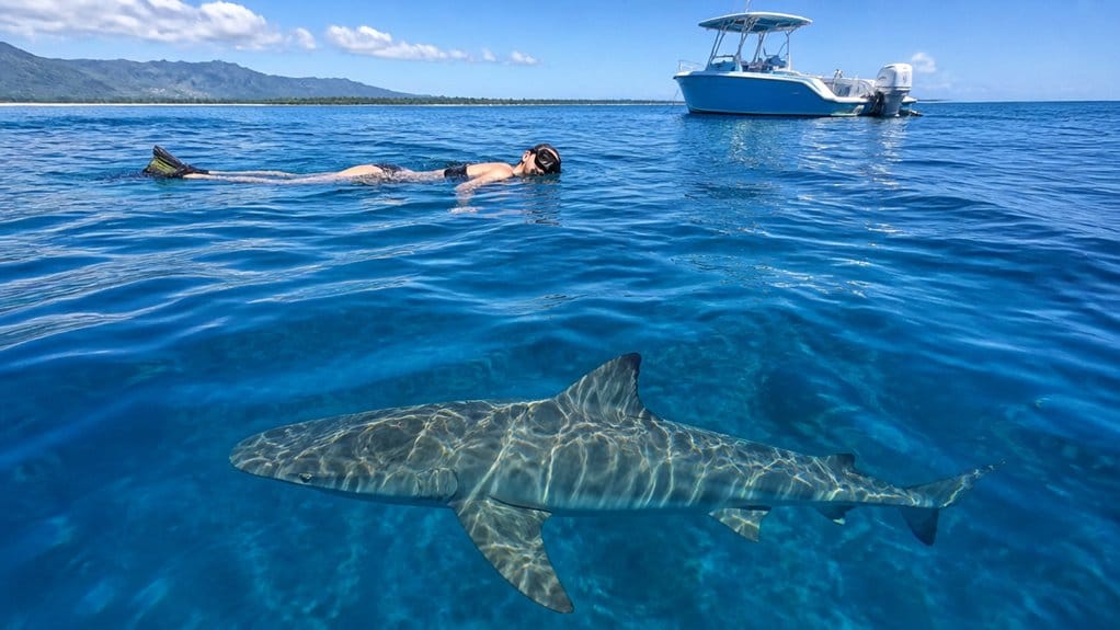 cage free guided oahu snorkel