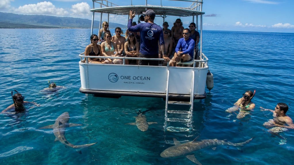 cage free shark swim eligibility