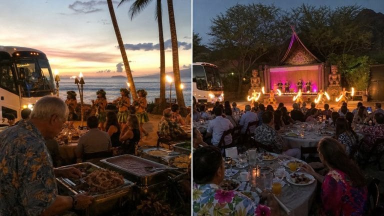 detailed luau transportation entertainment