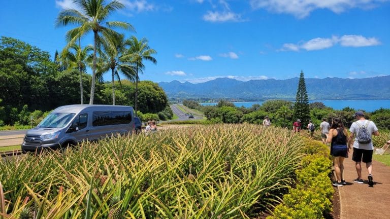 dole plantation and circle island tours