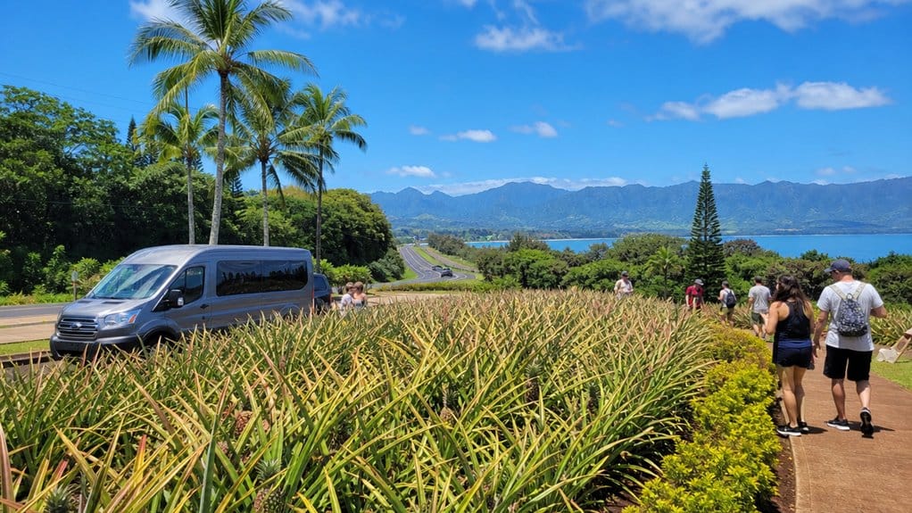 dole plantation and circle island tours