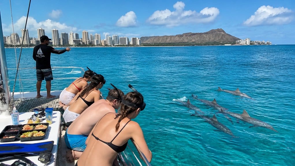 ethical vessel based dolphin viewing