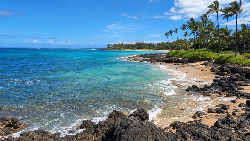find turtle bay oahu