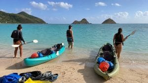 first timer island snorkel booking guide