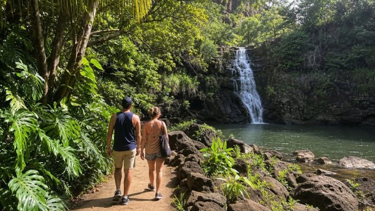 flexible private north shore tour