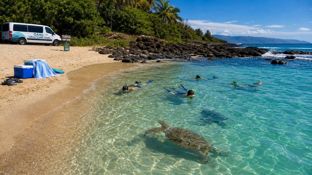 full day oahu north shore snorkeling