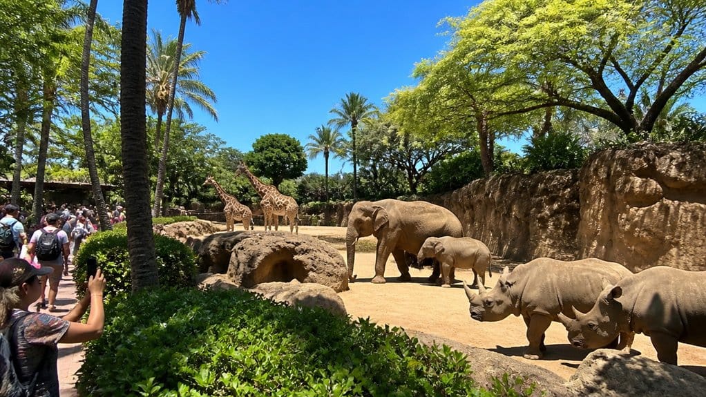 giraffes elephants rhinos tour
