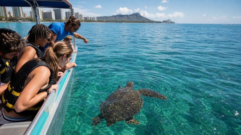 guided turtle watching tours oahu