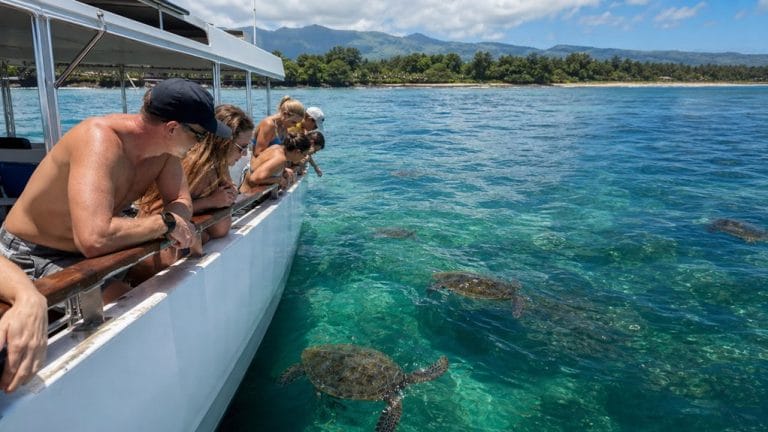 haleiwa north shore wildlife cruise