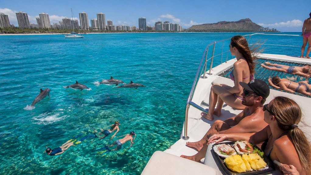 half day dolphin snorkeling adventure