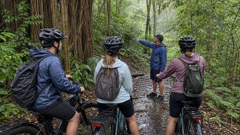 honolulu rainforest e bike tour