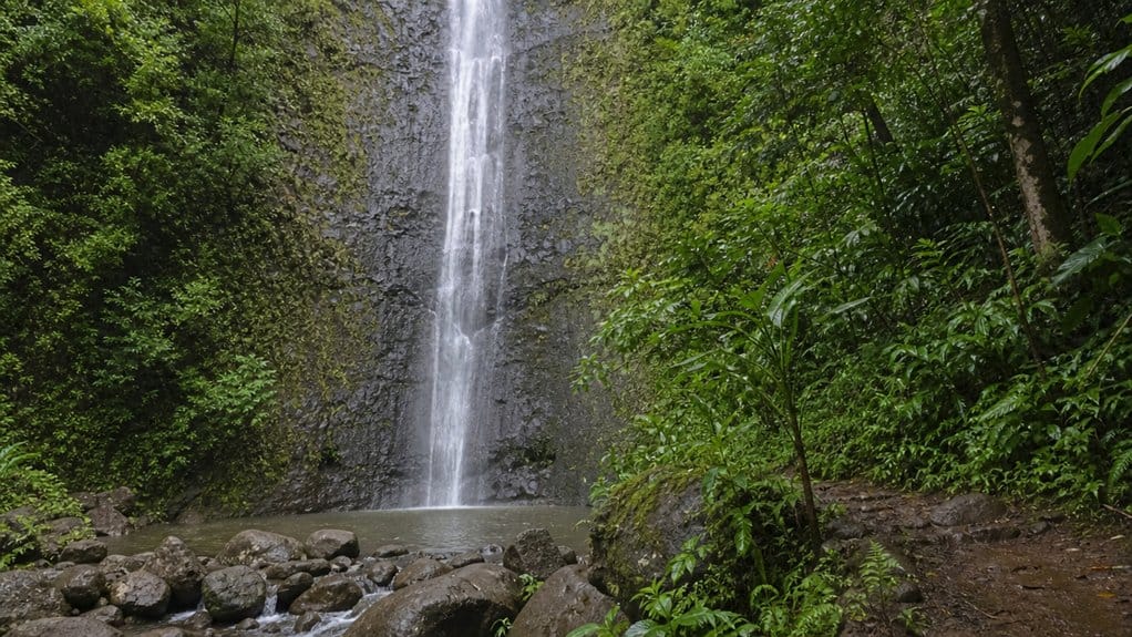 Where Are Manoa Falls Located?