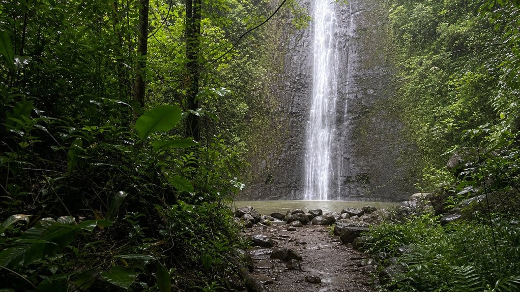 jurassic park manoa falls filming