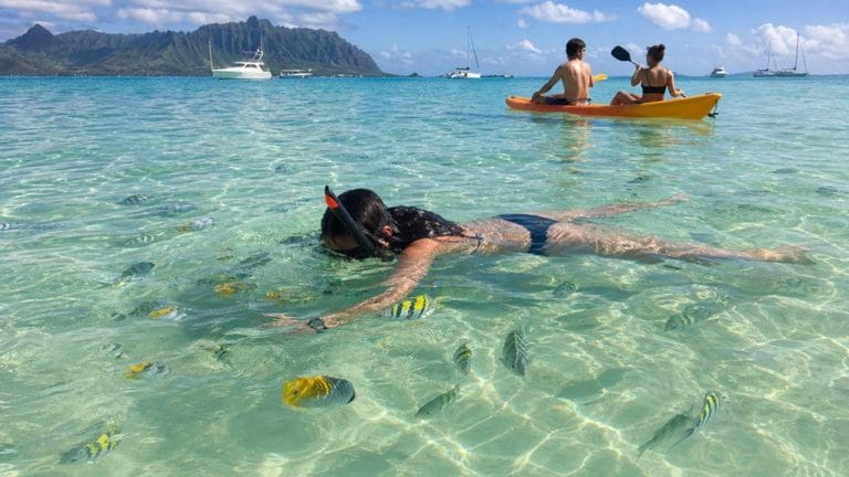 kaneohe sandbar snorkeling vs kayaking