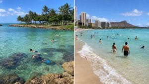 ko olina vs waikiki snorkeling