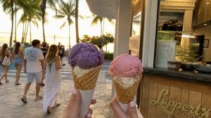 lappert s waikiki ice cream picks