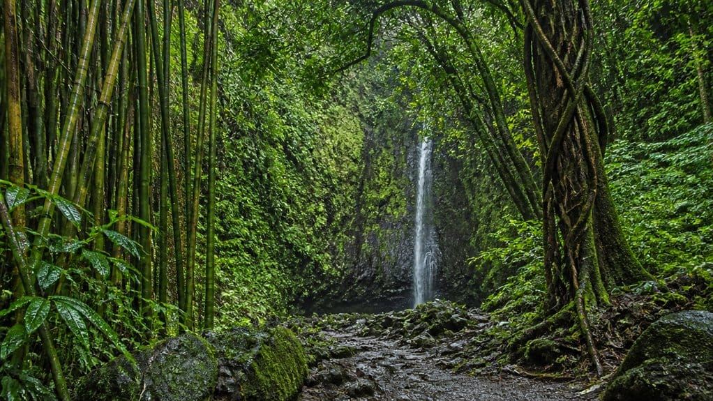 manoa falls filmed jurassicworld