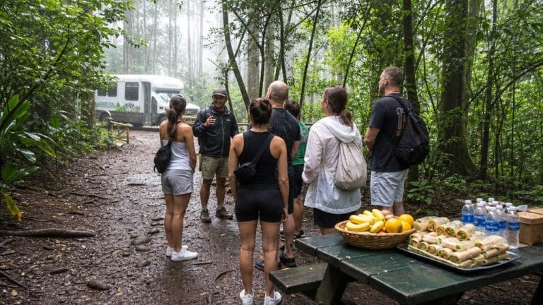manoa falls hike tour