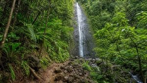 manoa falls jurassic filming locations